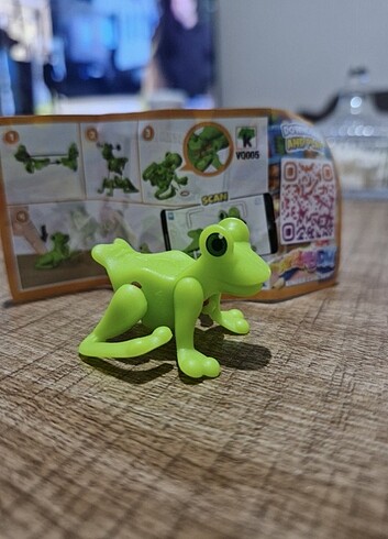 Kinder cekirge 