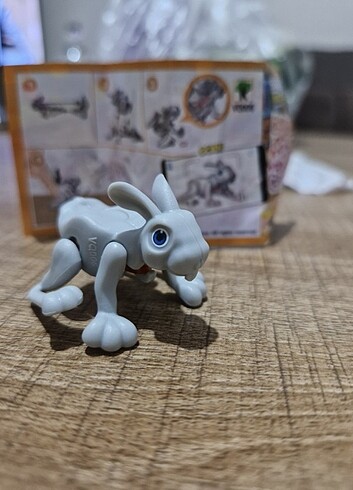 Kinder tavşan 