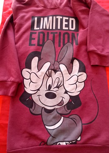 Walt Disney World 46