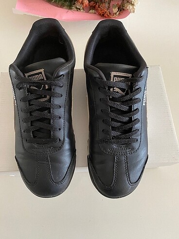 Puma roma