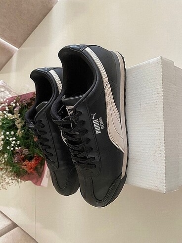Puma Puma roma