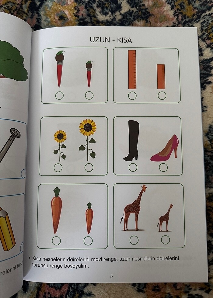 KAVRAMLAR 5 YAŞ - Görsel 3