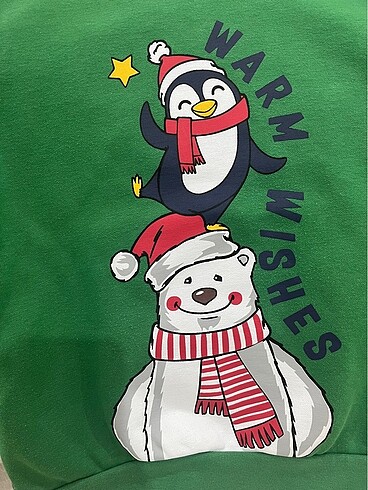 LC Waikiki Erkek çocuk sweatshirt