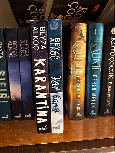Karantina1. Kitap ve Kar küresi Beyza Alkoç