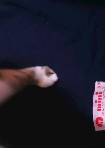 Erkek Lacivert Fermuarlı pantolon etek - Görsel 3