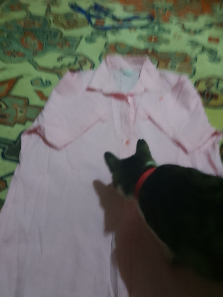 Pembe mavi  Kısa Kollu Keten Gömlek - Görsel 2