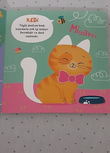 Diğer İlk Oyun Hamuru Kitabı 