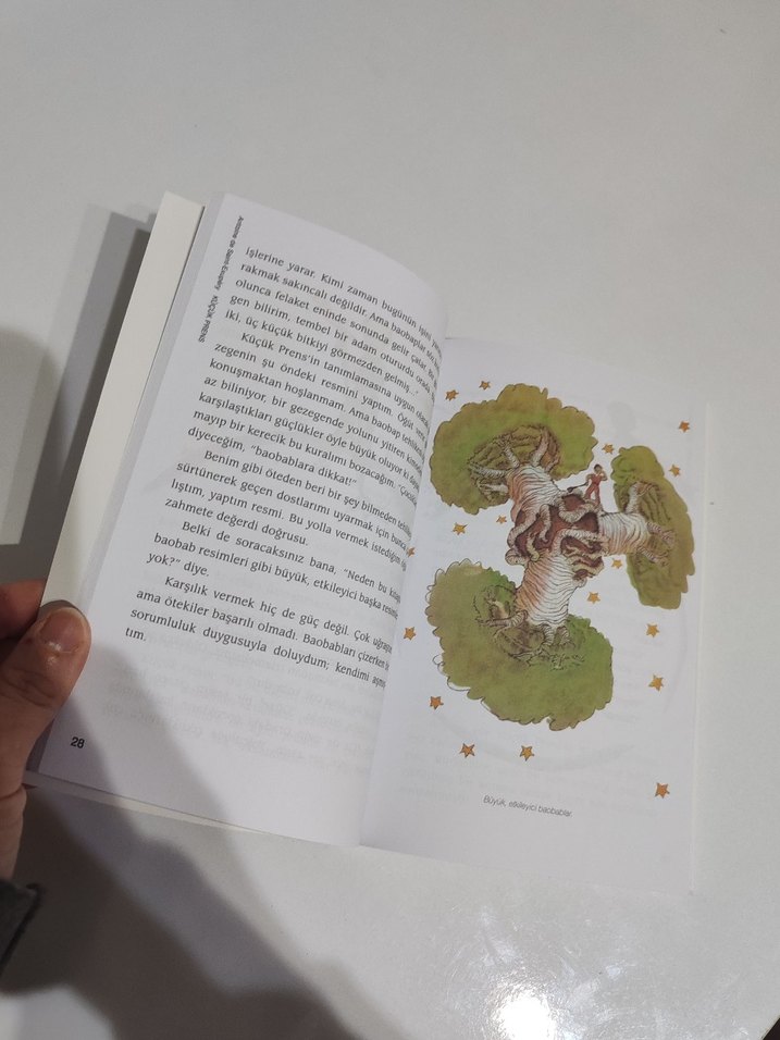 Küçük Prens - Antoine de Saint-Exupéry - Görsel 3