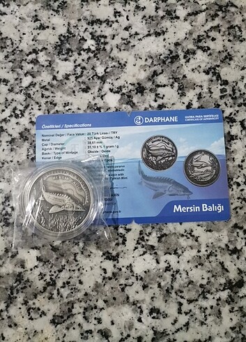 Mersin Balığı 