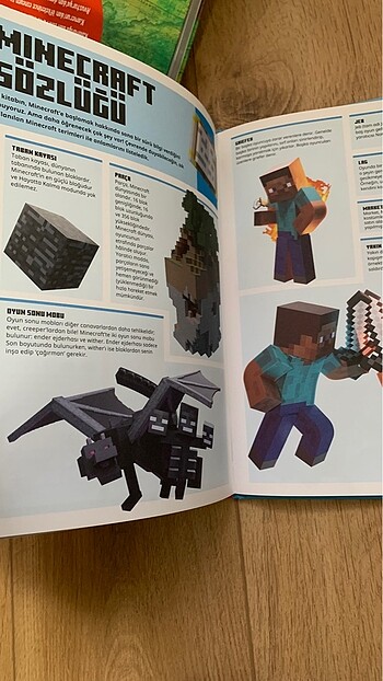 Beden Renk Minecraft kitabı