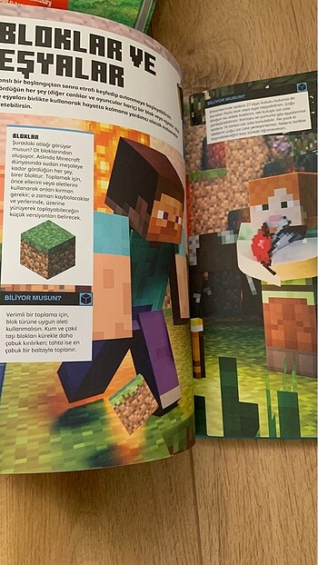 Beden Minecraft kitabı