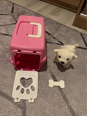 Oyuncak Köpek,Kemik ve Köpek Taşıması