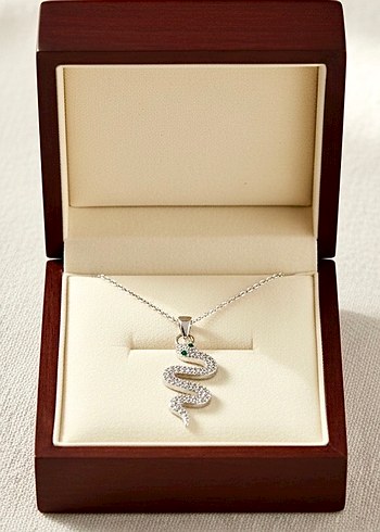 Zincir Detaylı Yılan Desenli Midi Kolye - Görsel 2