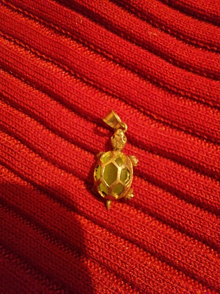 925 AYAR KAPLUMBAĞA KOLYE UCU - Görsel 2