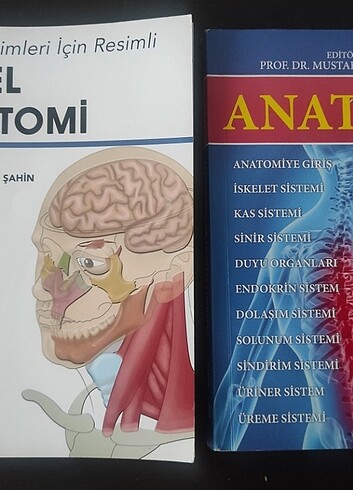 Temel Anatomi ve Anatomi Kitabı 