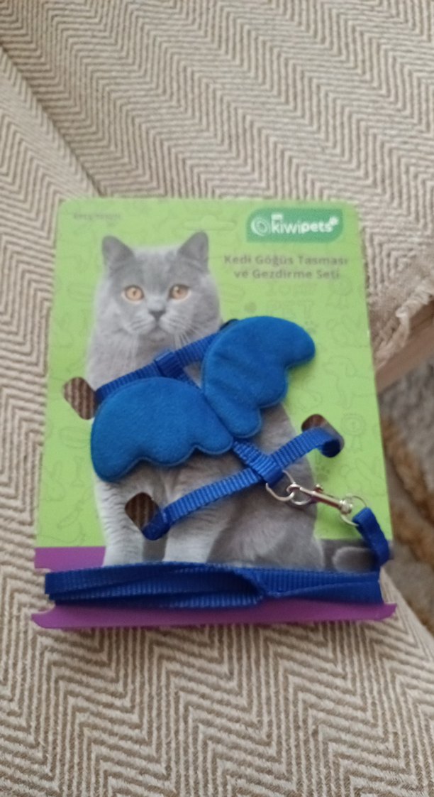 Gri Kedi Göğüs Tasması ve Gezdirme Seti - Görsel 2