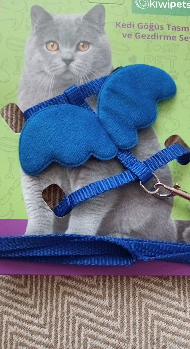 Gri Kedi Göğüs Tasması ve Gezdirme Seti - Görsel 5