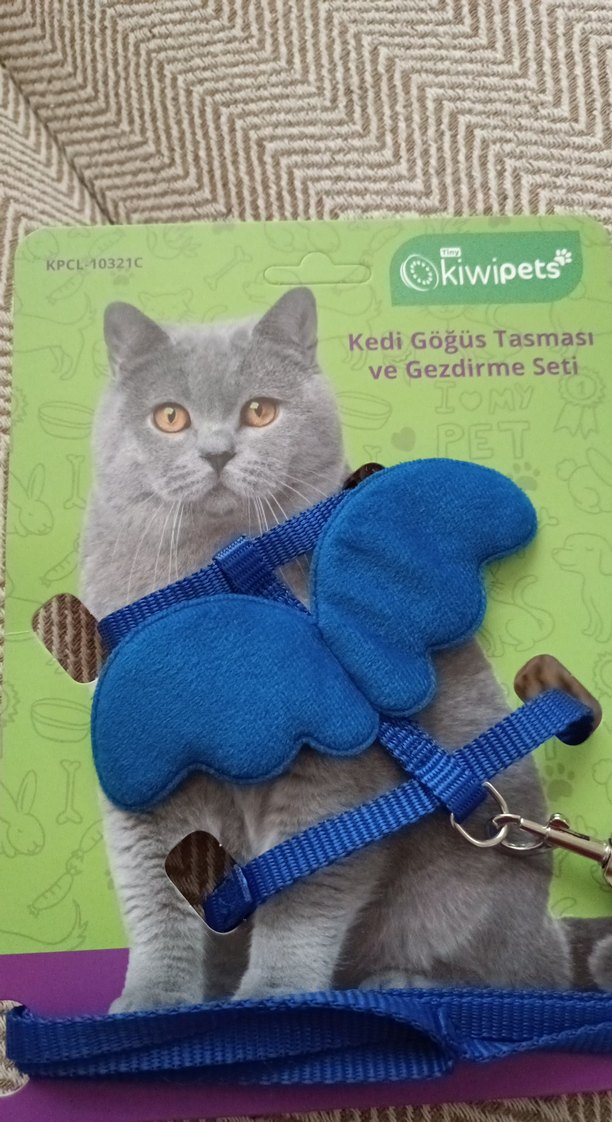 Gri Kedi Göğüs Tasması ve Gezdirme Seti - Görsel 4