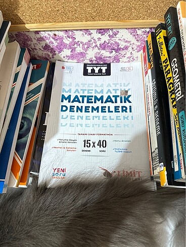 LİMİT MAT DENEME