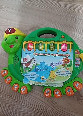 Öğretmenim kaplumbağa 