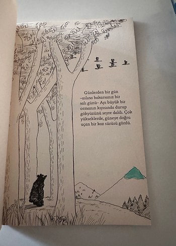 Ayı Olmayan Ayı - Frank Tashlin - Görsel 3