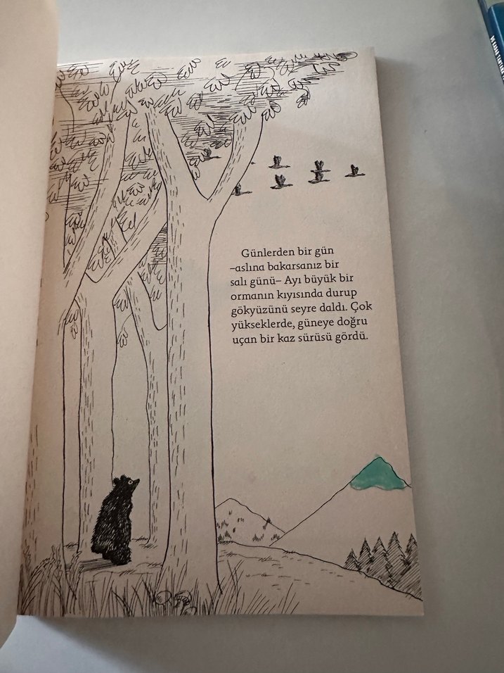 Ayı Olmayan Ayı - Frank Tashlin - Görsel 3