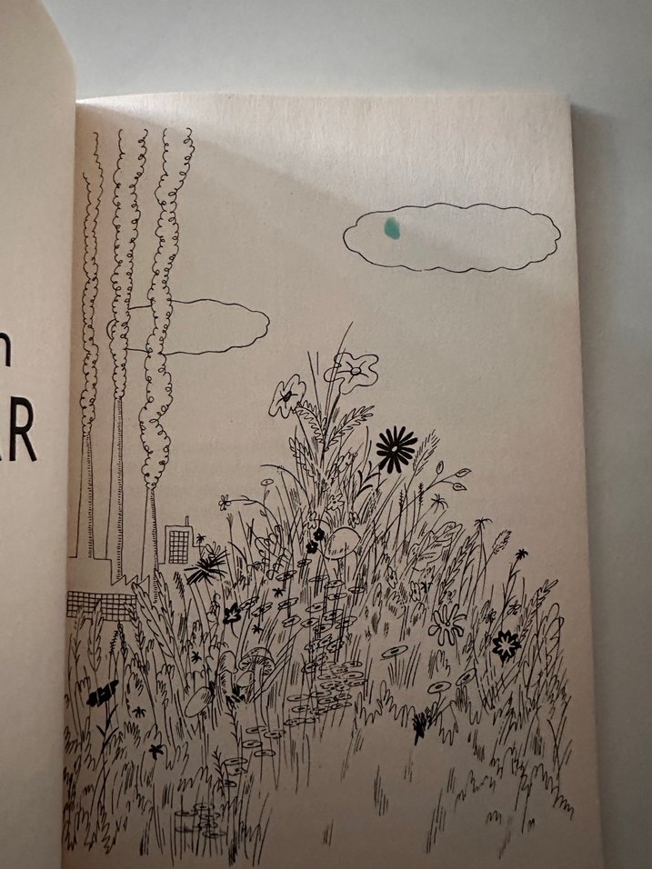 Ayı Olmayan Ayı - Frank Tashlin - Görsel 4