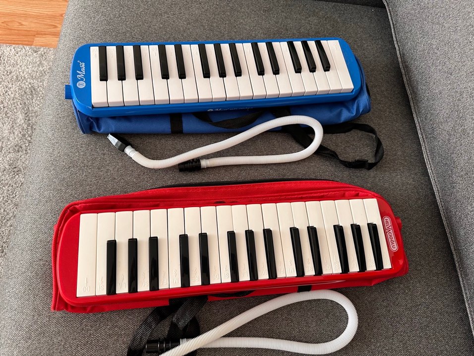 32 Tuşlu Mavi Melodika Çanta ile - Görsel 3