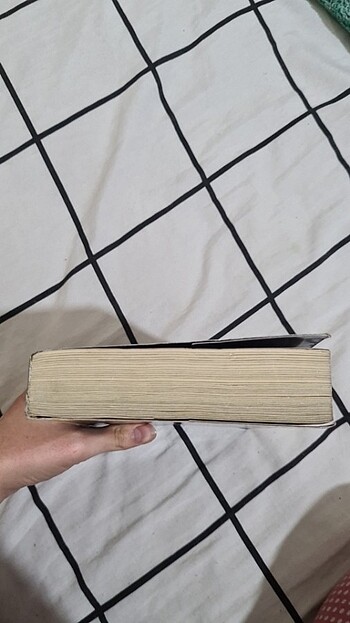 3391 KM BEYZA ALKOÇ - Görsel 6