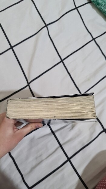 3391 KM BEYZA ALKOÇ - Görsel 7