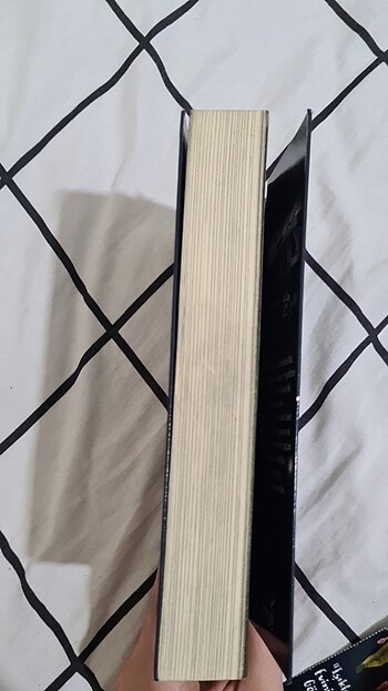 SIFIR KM BEYZA ALKOÇ - Görsel 11