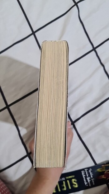 SIFIR KM BEYZA ALKOÇ - Görsel 12