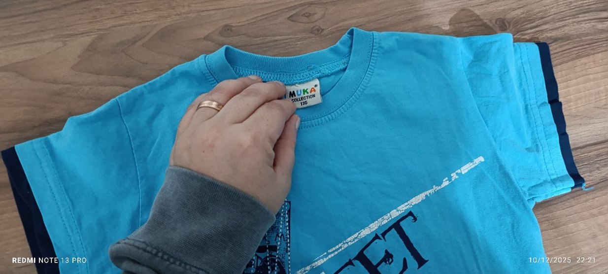 Mavi Erkek Çocuk Baskılı Tişört - Görsel 2