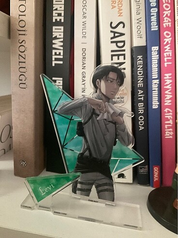 Orijinal Levi Standı