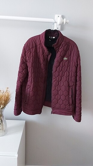 Erkek LACOSTE KAZ TÜYÜMONT