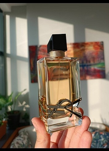 Ysl libre 
