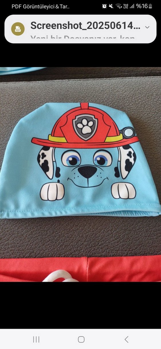 Renkli Baskılı Erkek Çocuk Deniz Şortu ve Bone - Görsel 3