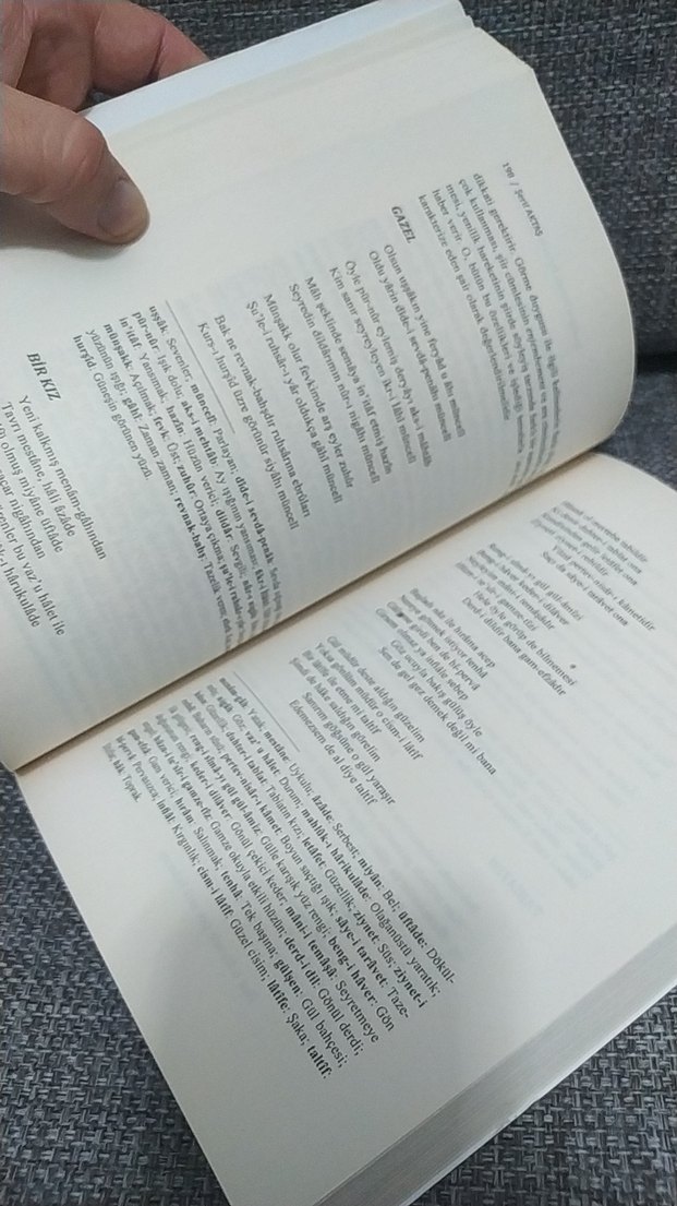 Şerif Aktaş Yenileşme Dönemi Türk Şiiri ve Antolojisi 1 - Görsel 3