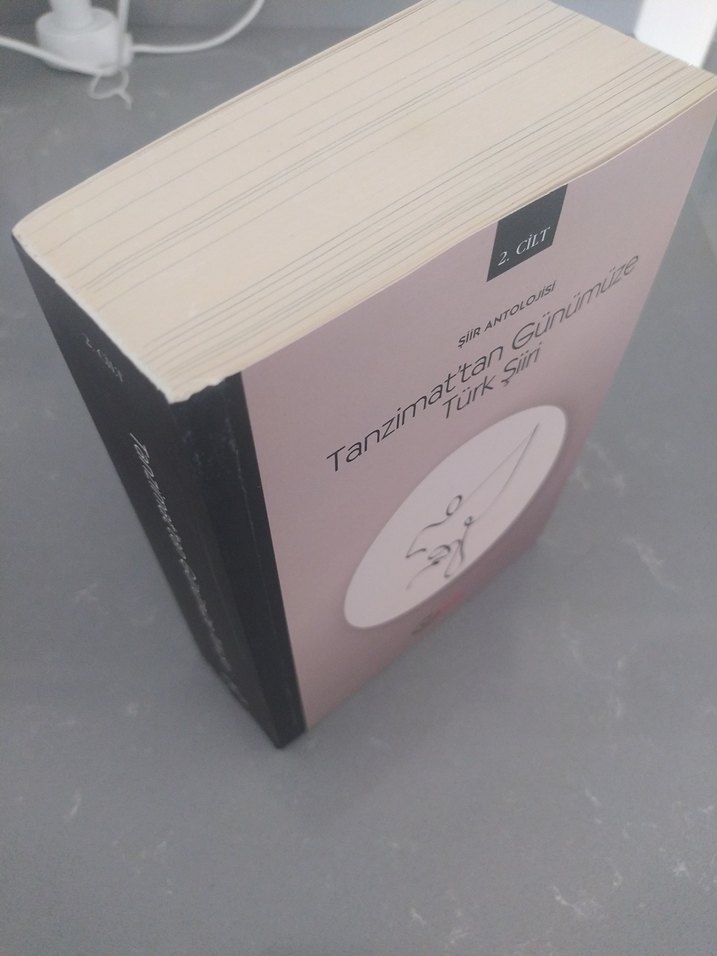 Halk ve Divan ile Tanzimat'tan Günümüze Türk Şiiri Seti antoloji - Görsel 2