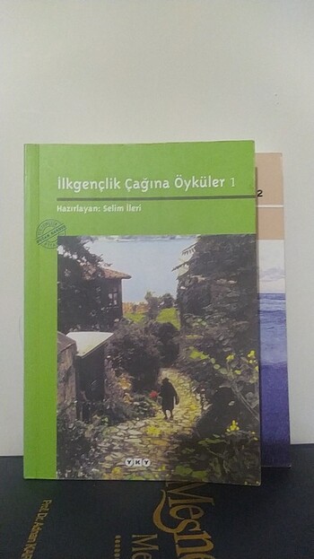 Öykü antoloji selim ileri