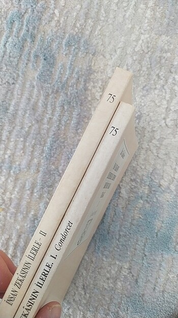 Batı klasikleri condorcet insan zekası - Görsel 3