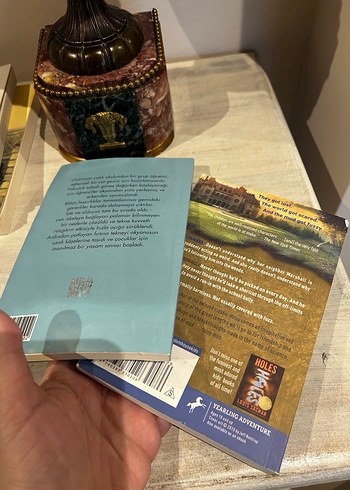 Fuzzy Mud ve İki Yıl Okul Tatili Romanları - Görsel 4