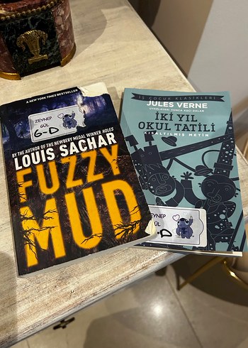 Fuzzy Mud ve İki Yıl Okul Tatili Romanları - Görsel 2