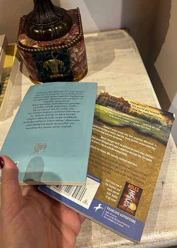 Fuzzy Mud ve İki Yıl Okul Tatili Romanları - Görsel 5