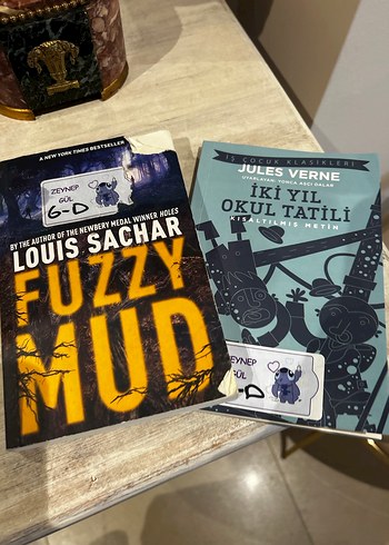 Fuzzy Mud ve İki Yıl Okul Tatili Romanları - Görsel 3