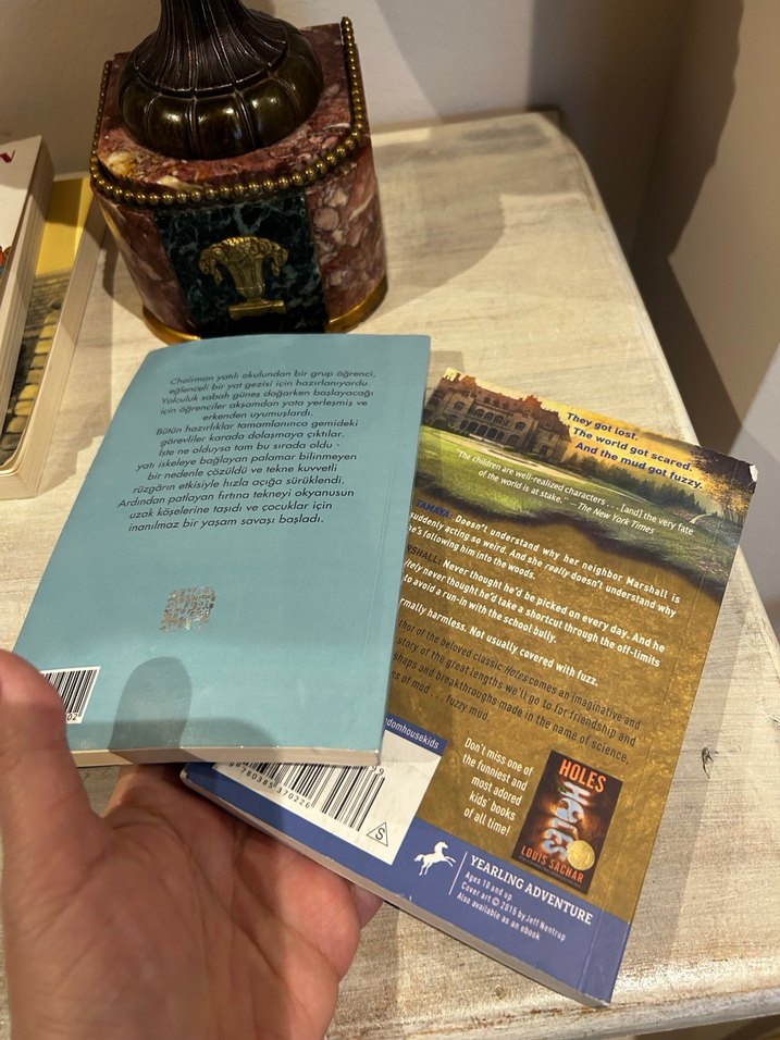 Fuzzy Mud ve İki Yıl Okul Tatili Romanları - Görsel 4