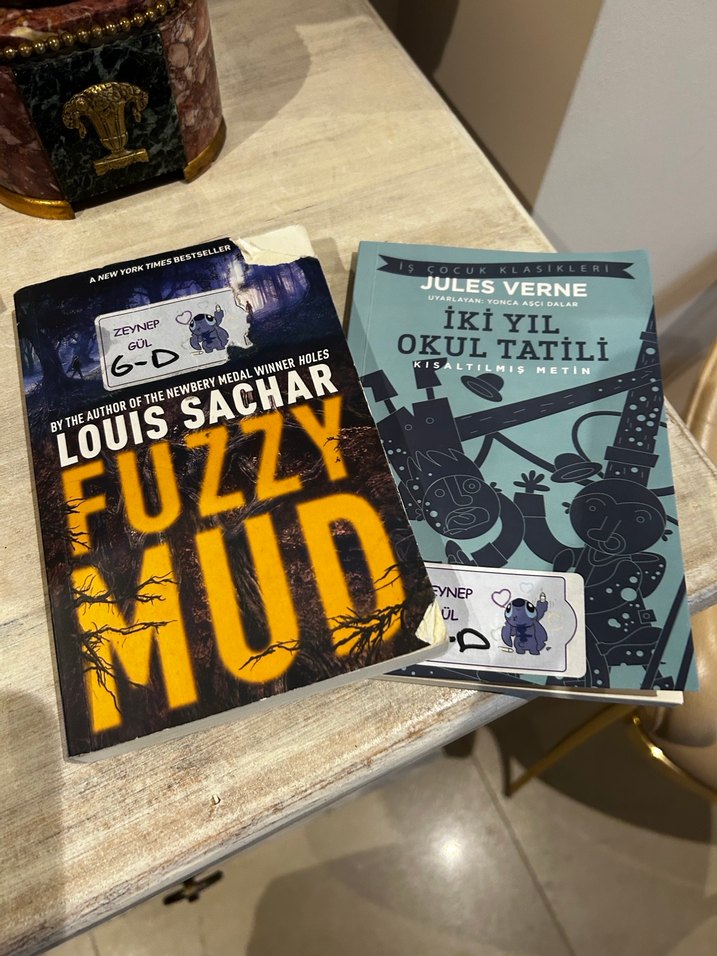 Fuzzy Mud ve İki Yıl Okul Tatili Romanları - Görsel 2