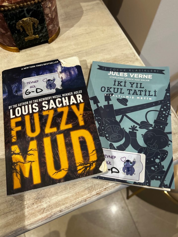 Fuzzy Mud ve İki Yıl Okul Tatili Romanları - Görsel 3