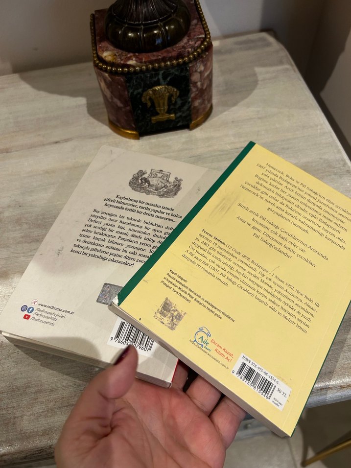 Çocuk Kitapları: Pal Sokağı ve Kayıp Masal - Görsel 3