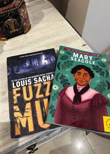 Mary Seacole ve Fuzzy Mud Kitapları - Görsel 2